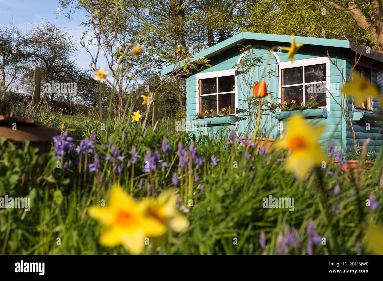 Casa estiva casetta in legno blu turchese per bambini in un giardino primaverile nel Kent, Regno Unito Foto Stock