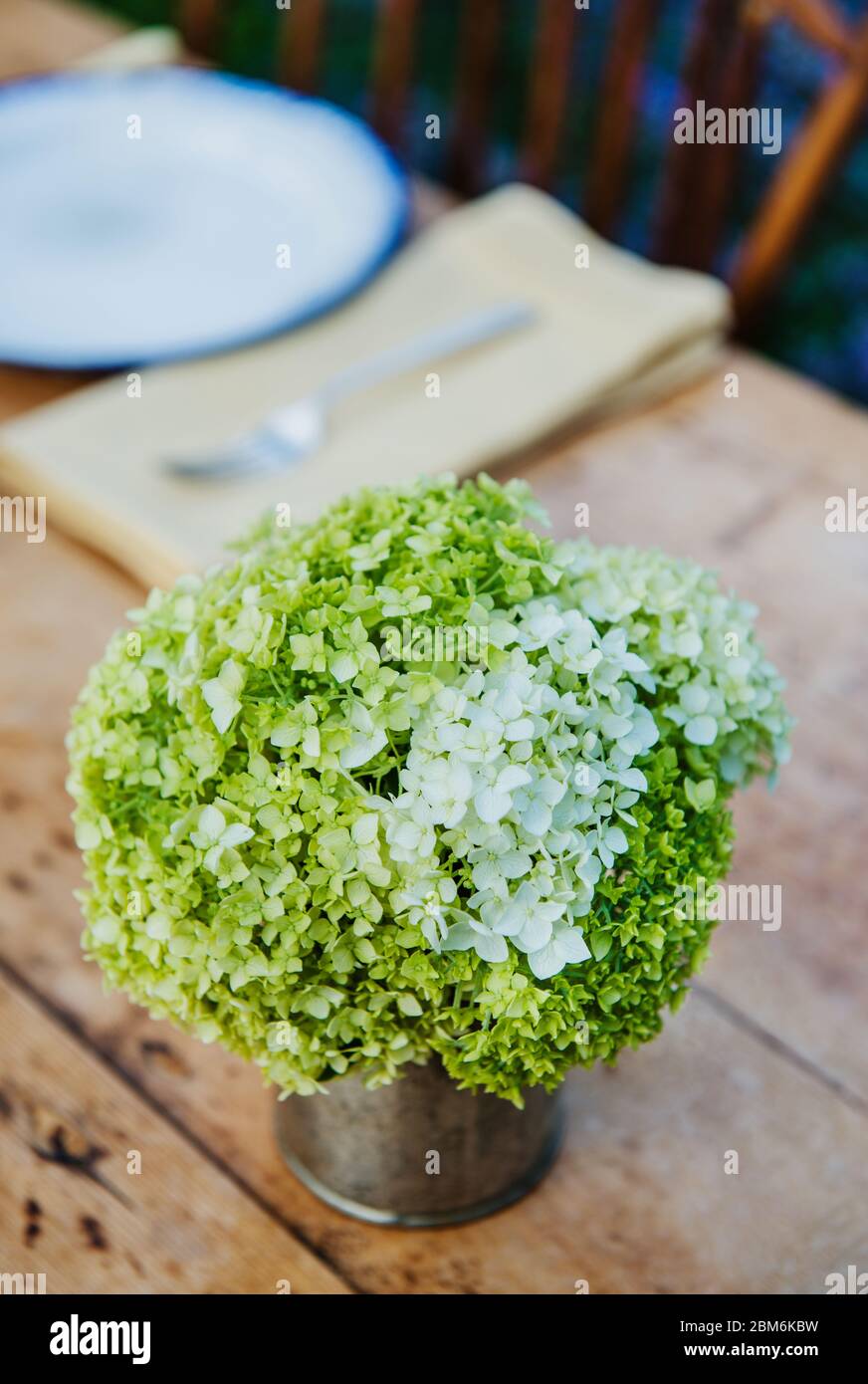 Mazzo di fiori su tavolo da picnic Foto Stock