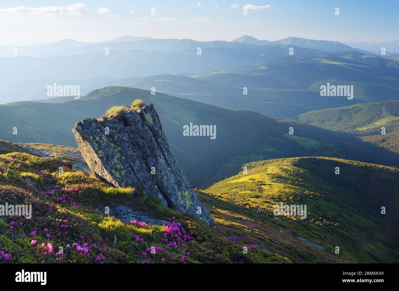 Bella roccia in montagna in estate. Il paesaggio sole serale Foto Stock