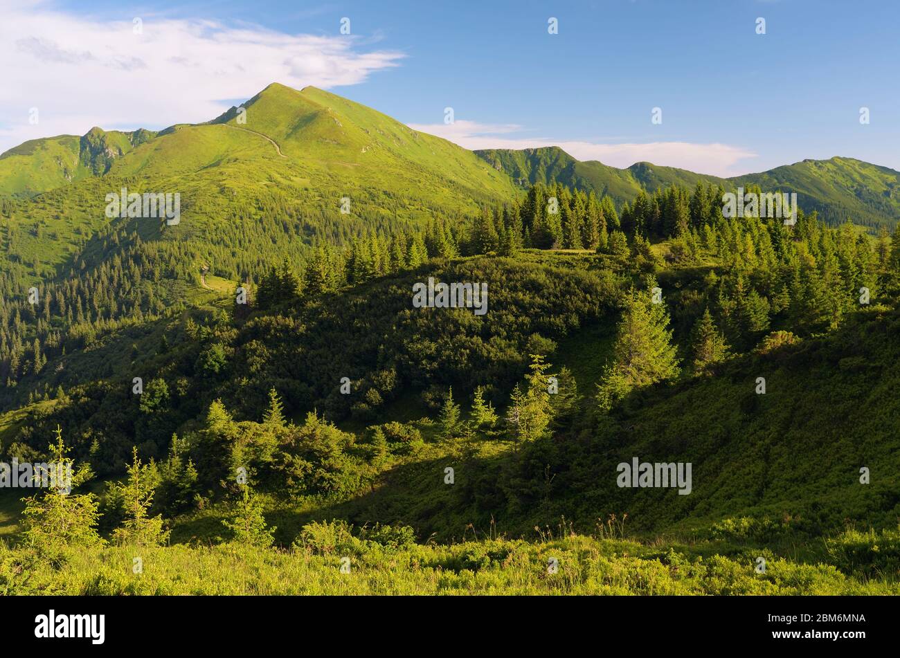 Vista sulle Alpi. Paesaggio estivo in montagna Foto Stock