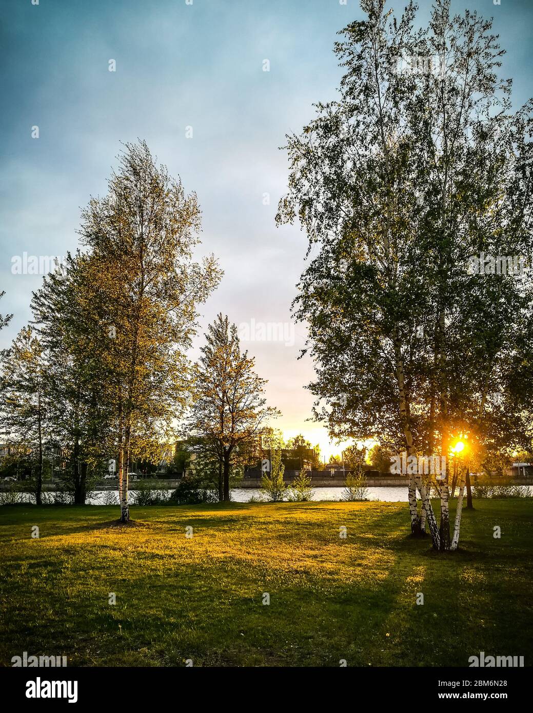 Spettacolare raggio d'alba vintage ad alto contrasto di luce che illumina la betulla albero con foglie in un parco urbano vicino ad un fiume Foto Stock