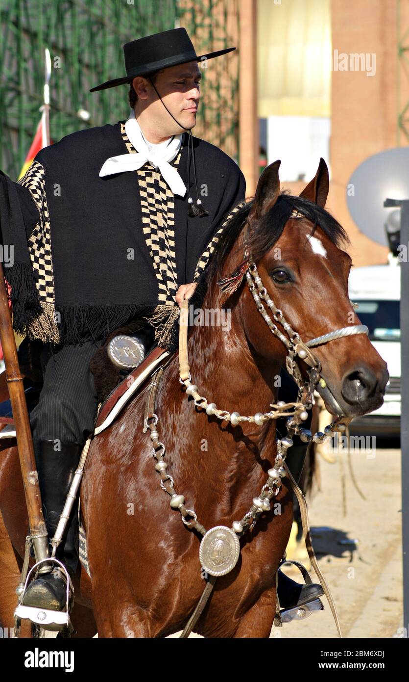 Gaucho cavalcando un cavallo di criollo in abbigliamento tradizionale sotto  la luce del sole Foto stock - Alamy
