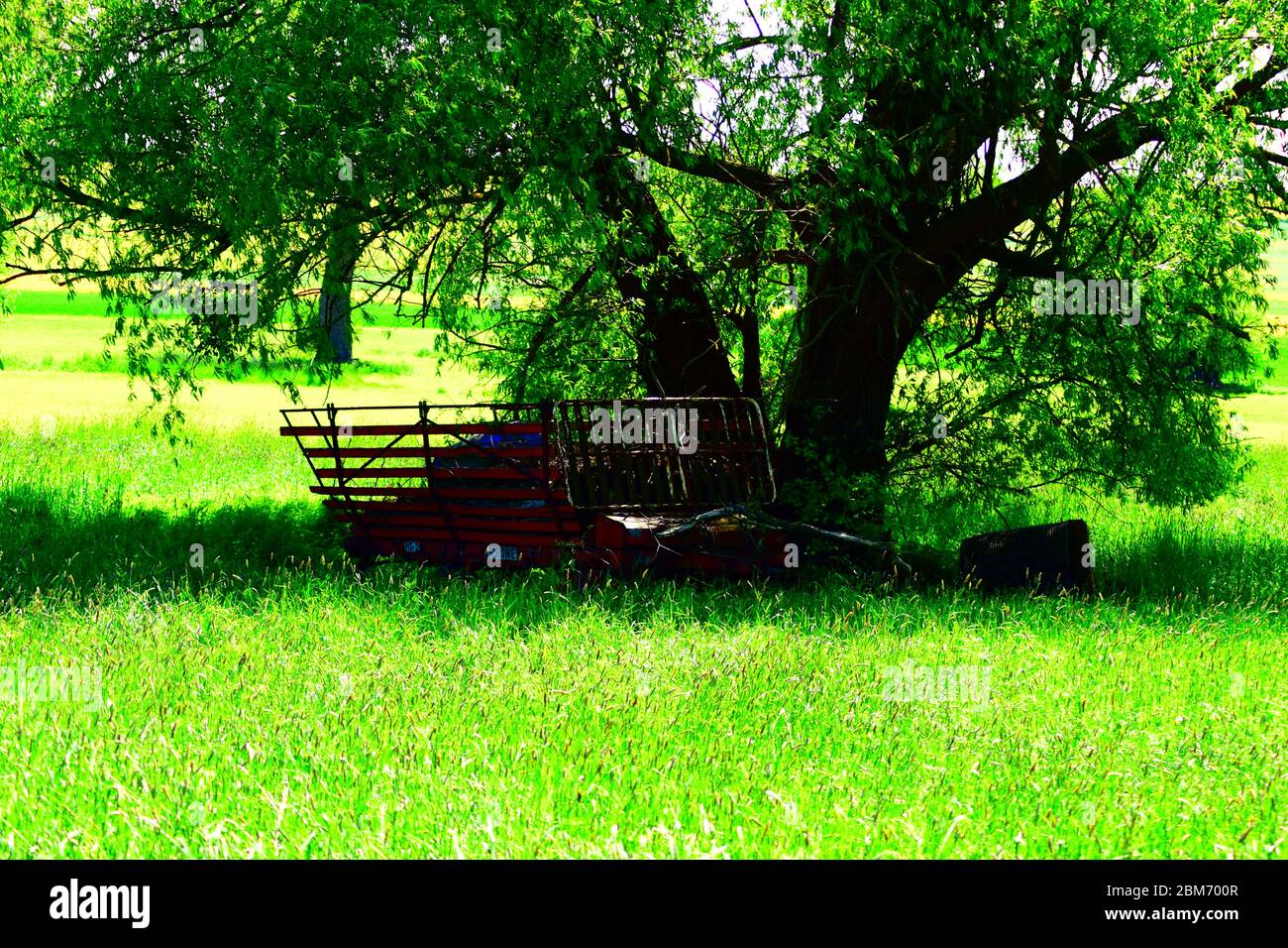 albero paludato con rimorchio trattore abbandonato in primavera Foto Stock