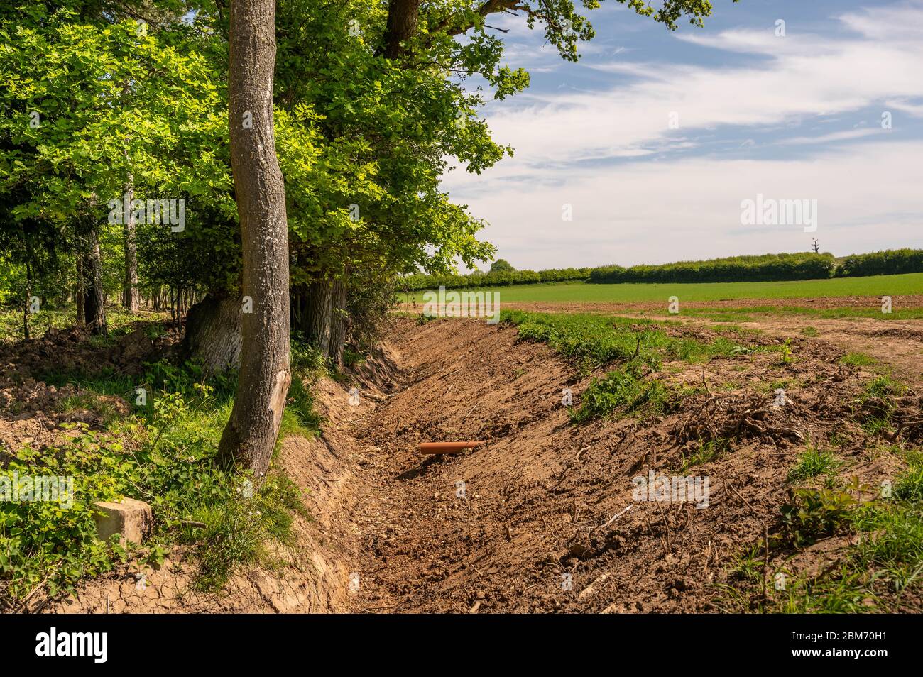 Fossato di drenaggio vicino alberi a bordo di campo. Foto Stock