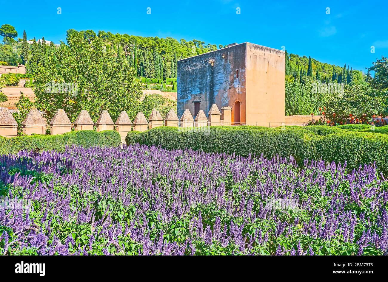 Il panoramico giardino dell'Alhambra con cespugli topiari e aiuole di salvia ultramoleta si estende lungo i bastioni e le torri della vecchia fortezza, G. Foto Stock