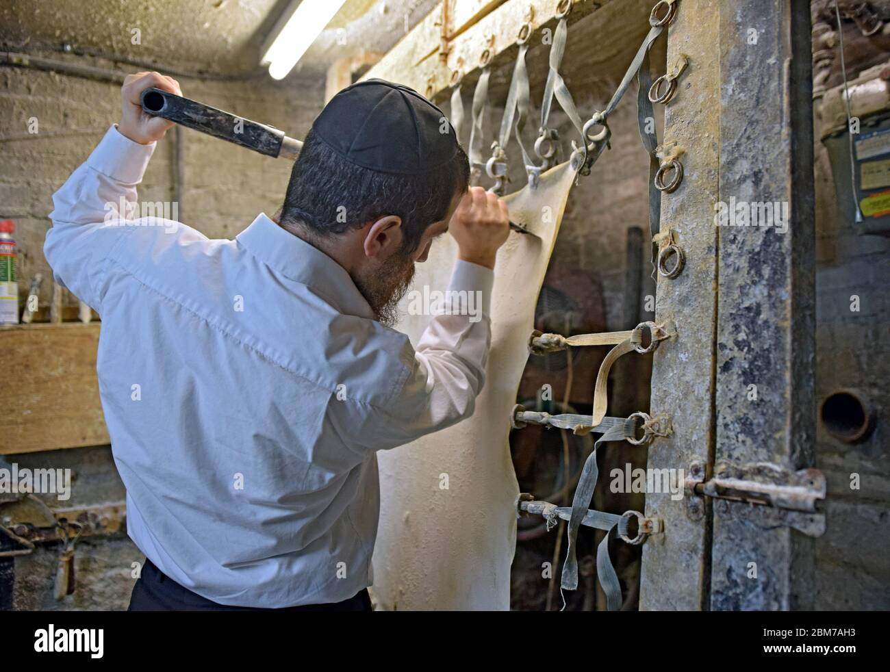 Un rabbino e maestro artigiano fa pergamena nel suo seminterrato per essere utilizzato per gli articoli religiosi. Foto Stock