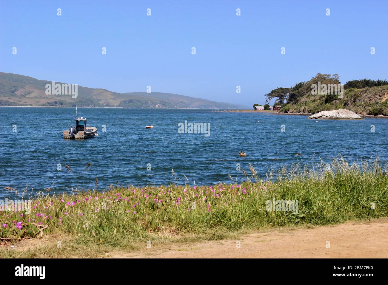 Tomales Bay a Marshall, California Foto Stock