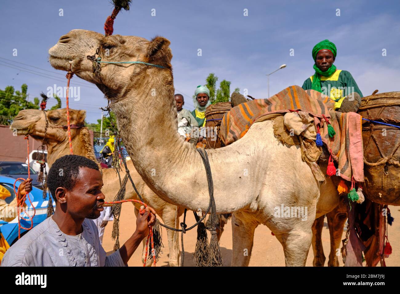 Pagina che conduce un cammello carico di tamburi grandi durante una celebrazione durbar. A durbar è una celebrazione nel nord della Nigeria in cui i nobili del sono Foto Stock