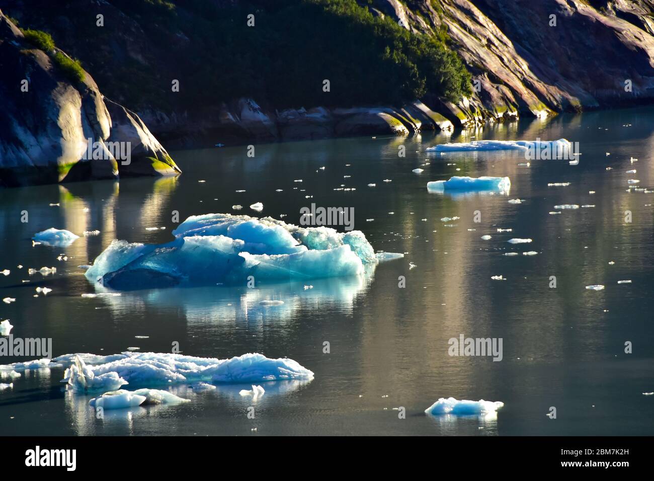 Iceberg galleggianti nel fiordo Tracy Arm, Alaska. Foto Stock