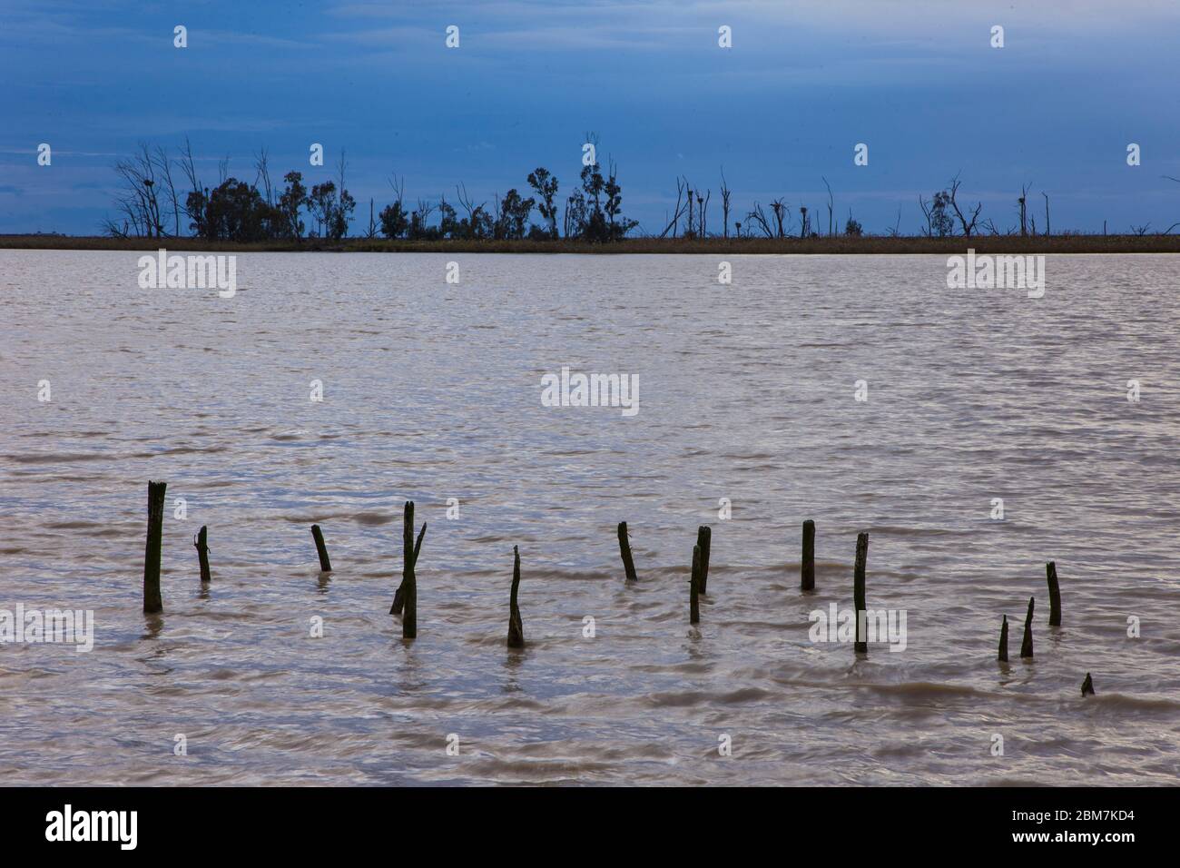 Foce del fiume Guadalquivir nel Parco Nazionale Doñana. Provincia di Siviglia, Comunità autonoma dell'Andalusia, Spagna, Europa Foto Stock