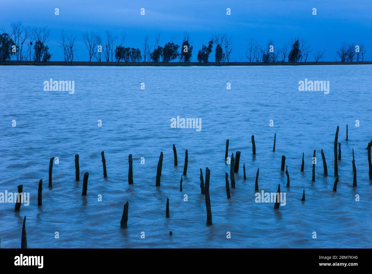 Foce del fiume Guadalquivir nel Parco Nazionale Doñana. Provincia di Siviglia, Comunità autonoma dell'Andalusia, Spagna, Europa Foto Stock