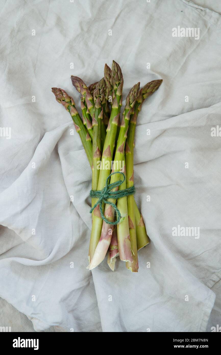 Gli asparagi si legano con un cordone verde Foto Stock