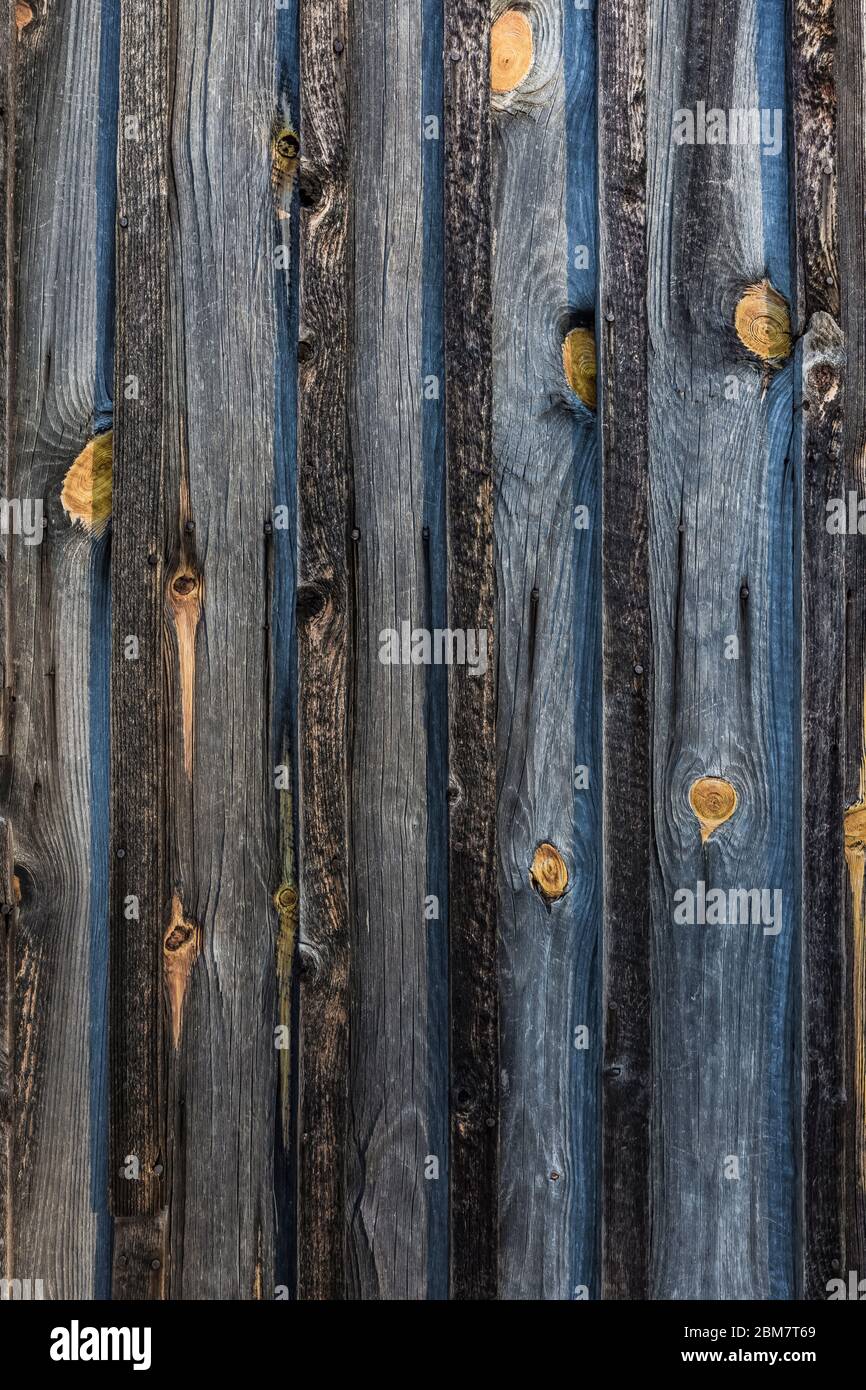 Dettagli in legno intemperato del bordo e batten Robinson Khatic Log Cabin a Blandford Nature Center, Grand Rapids, Michigan, USA Foto Stock