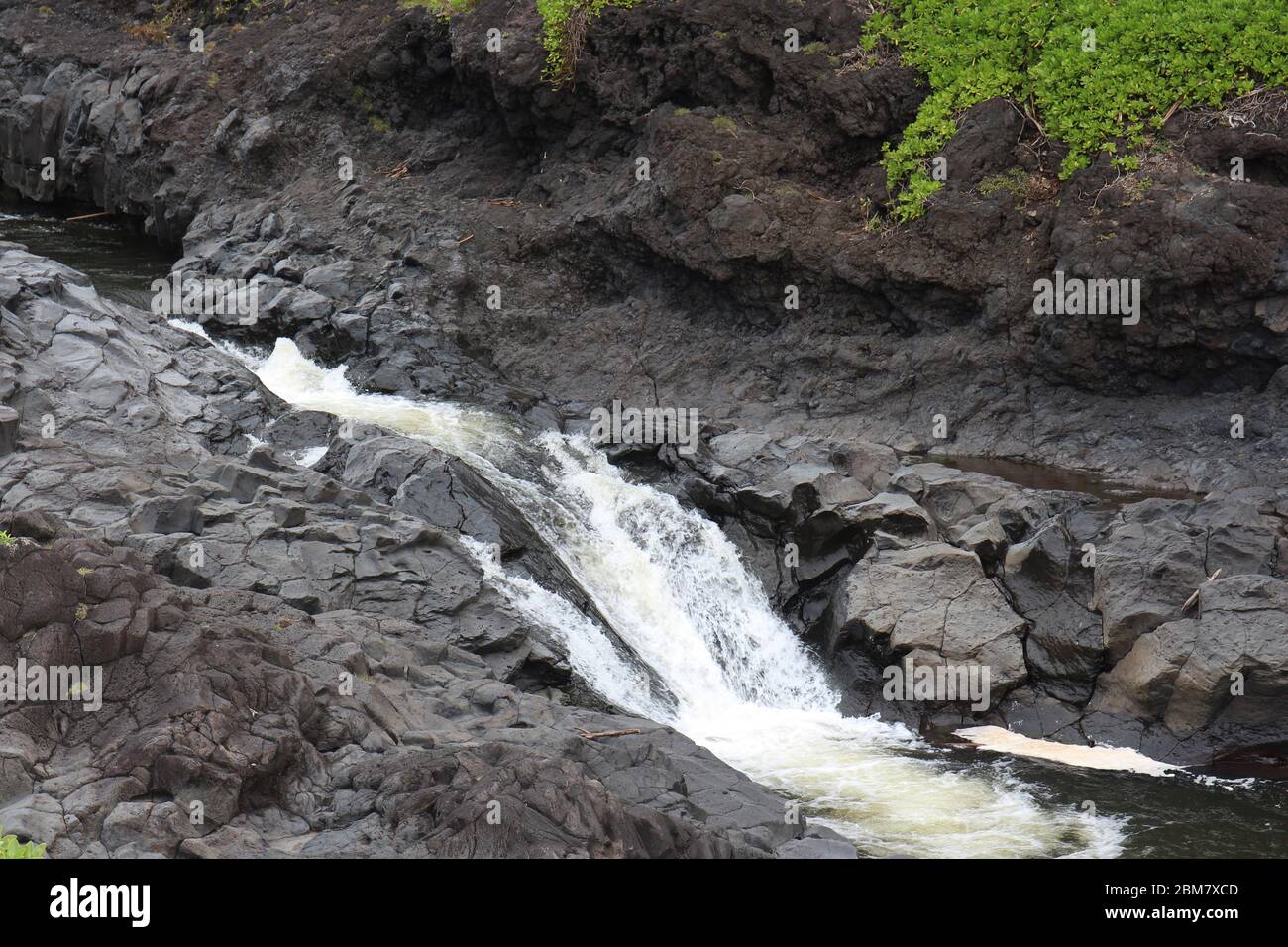 Il torrente Palikea attraversa la roccia vulcanica con la taccada di Scaevola che cresce sulla roccia al Gulch di Oheo a Hana, Maui, Hawaii, USA Foto Stock