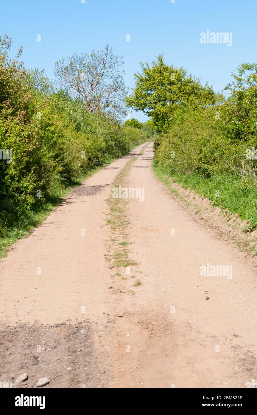 Il percorso della vecchia linea ferroviaria da King's Lynn a Hunstanton a Norfolk fu chiuso nel 1960s ed è ora una pista agricola. Foto Stock