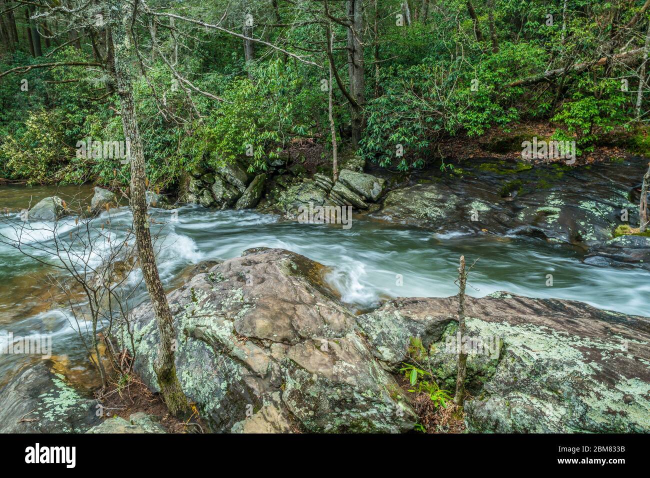 Un fiume veloce e veloce che scorre a valle dalle montagne attraverso la roccia e massi nei boschi nel tardo inverno Foto Stock