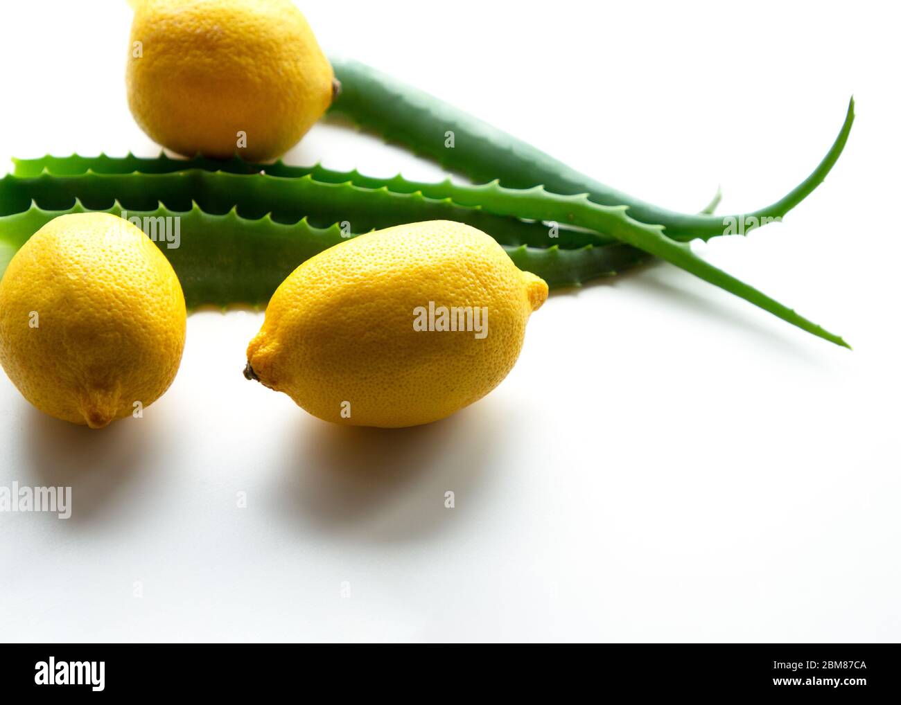 Composizione minimalista di Aloe vera e limone fresco. Ricetta naturale per la cura del viso, della pelle e dei capelli. Su sfondo bianco. Foto Stock