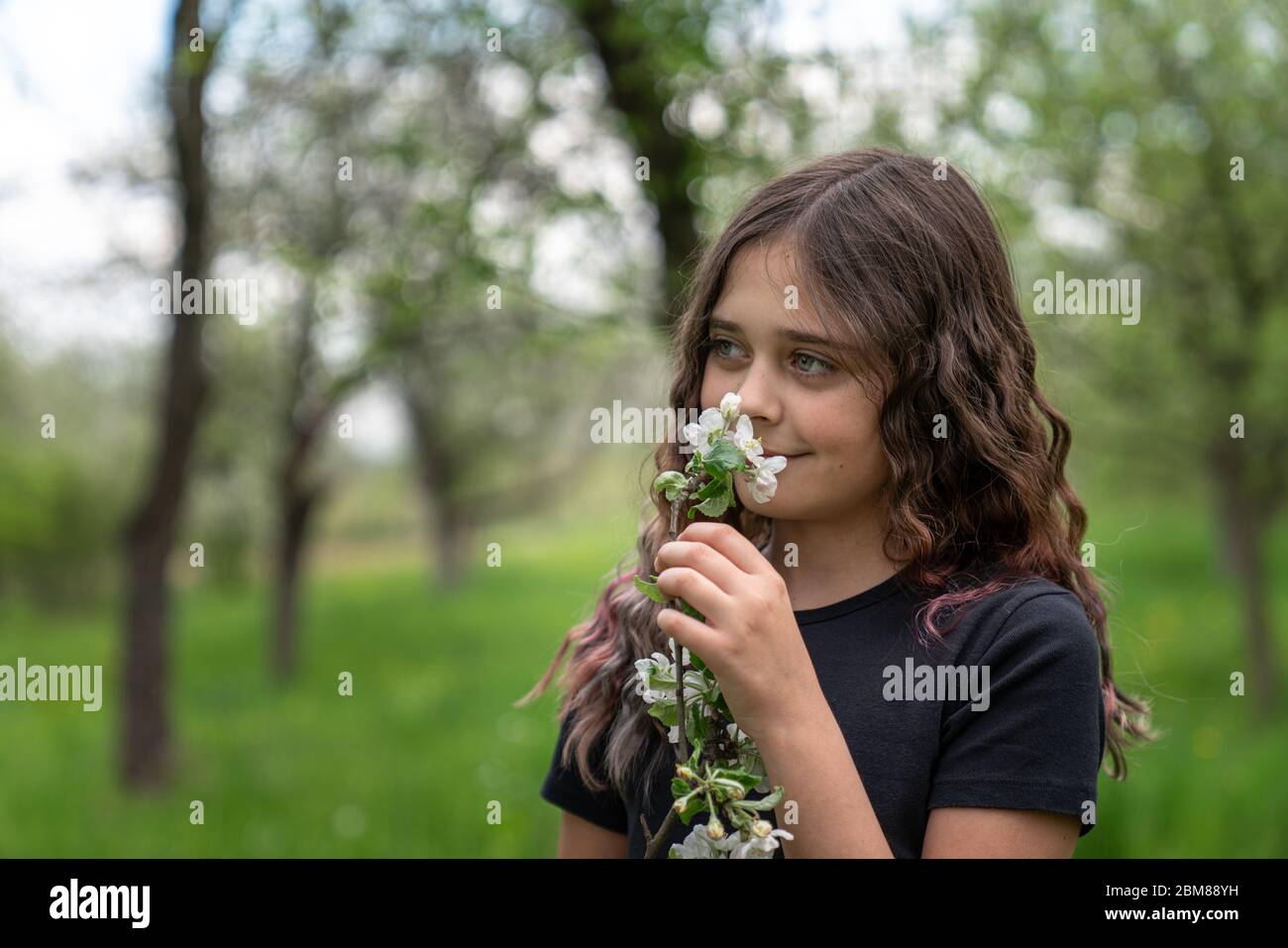 Sensuale bruna ragazza riccio odore fioritura mela bruna Foto Stock