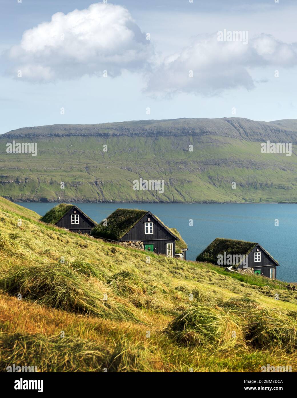 Vista pittoresca della Faerøer tradicional coperte di erba case del borgo Bour durante l'autunno. Funzionario Ministeriale isola, isole Faerøer, Danimarca. Foto Stock