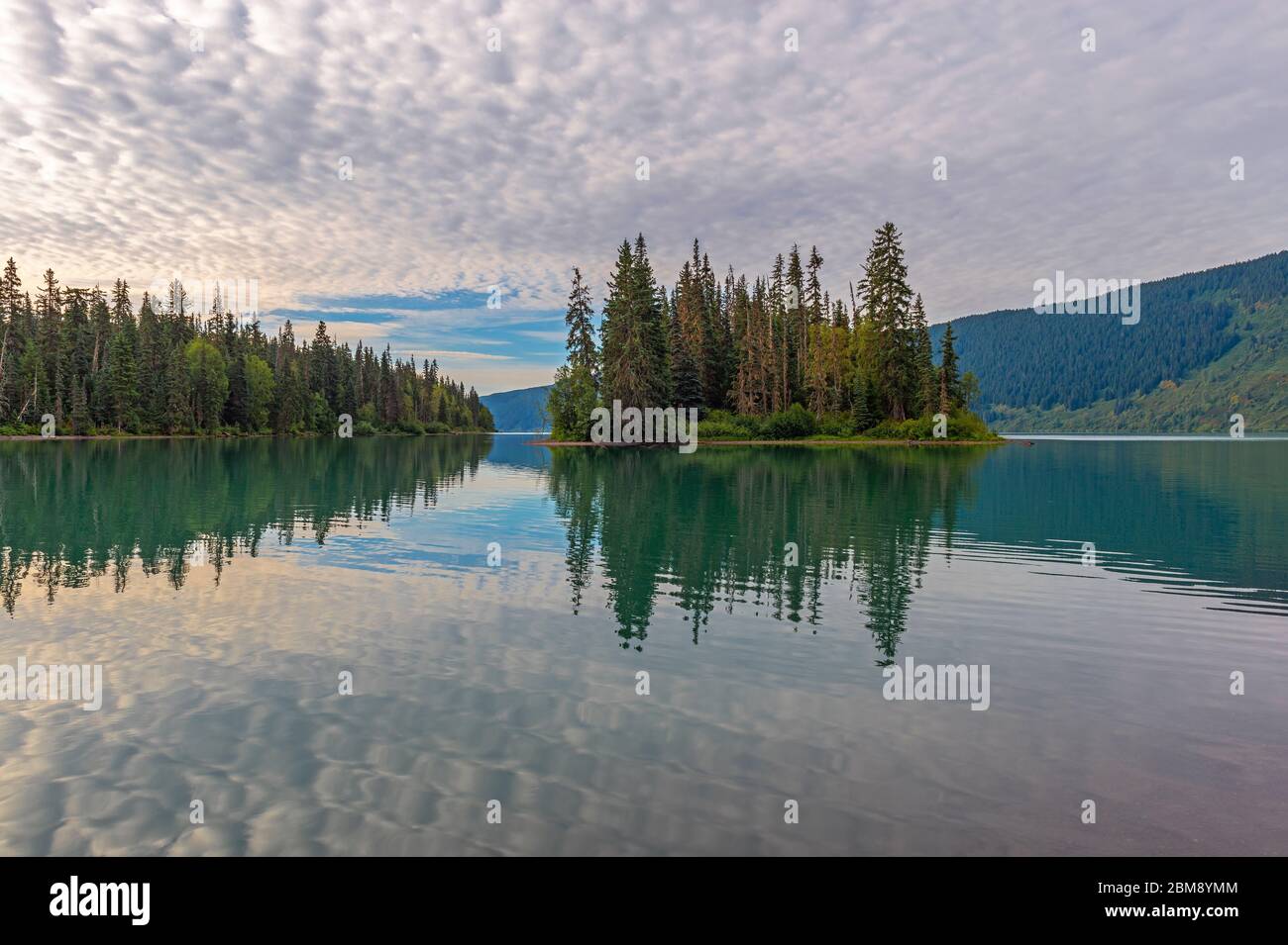 Alba e riflessione di Pine Trees in Mirror Lake, Banff National Park, Alberta, Canada. Foto Stock