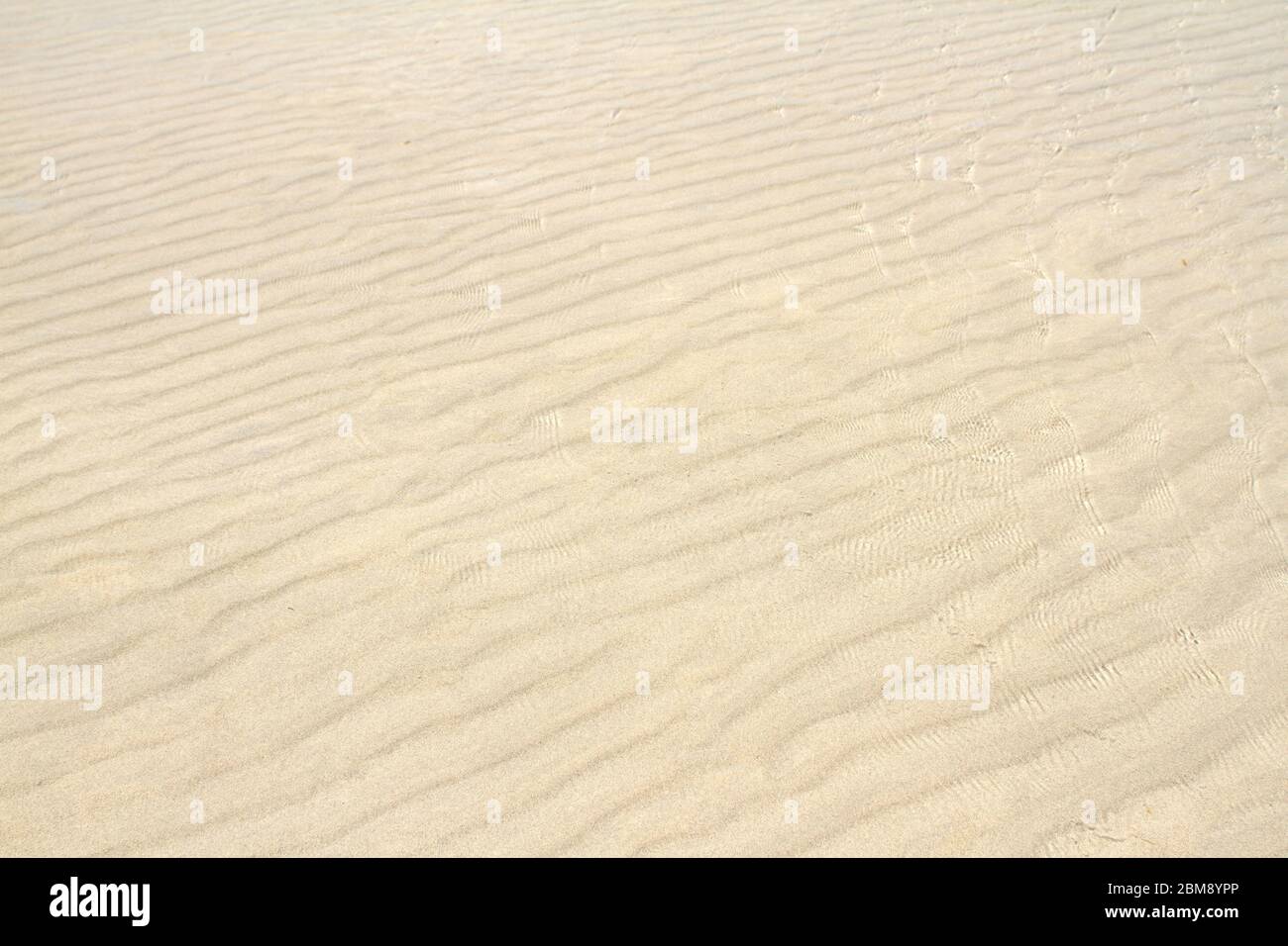 Acqua increspata su fondo di sabbia. Foto Stock