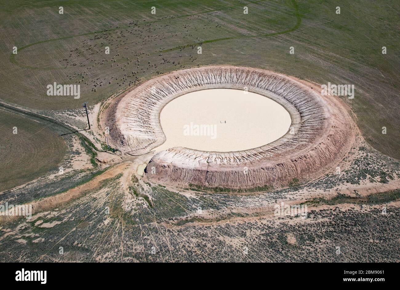 Veduta aerea di una diga agricola in Australia Occidentale con pecore circostanti Foto Stock