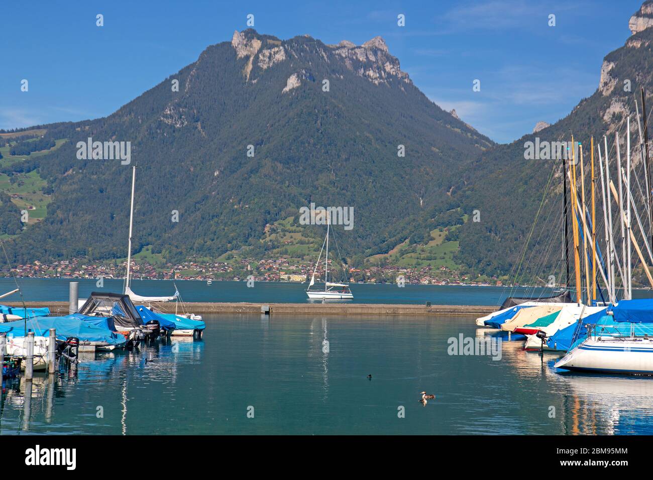 Marina a Faulensee sul Lago Thun Foto Stock