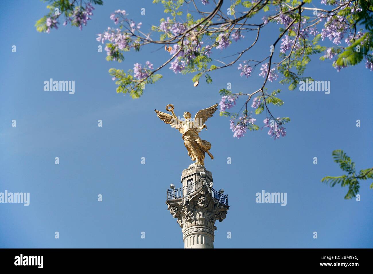 Angelo dell'Indipendenza, Avenida Paseo de la Reforma. Città del Messico, Messico Foto Stock