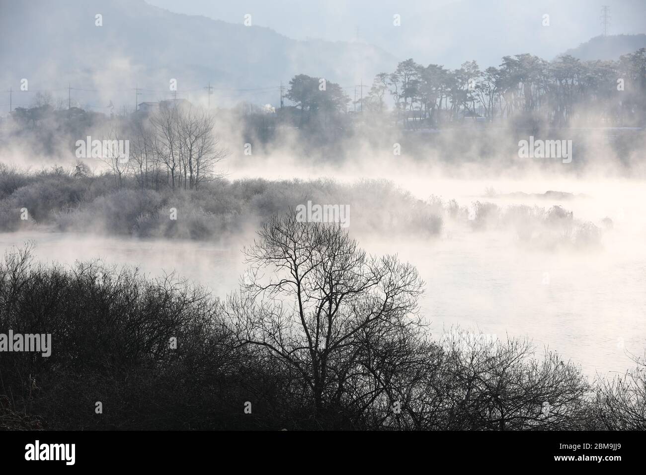 Alberi e canne sono ricoperti di neve, e il fiume ha nebbia d'acqua. Fiume Soyang, Chuncheon City, Corea Foto Stock