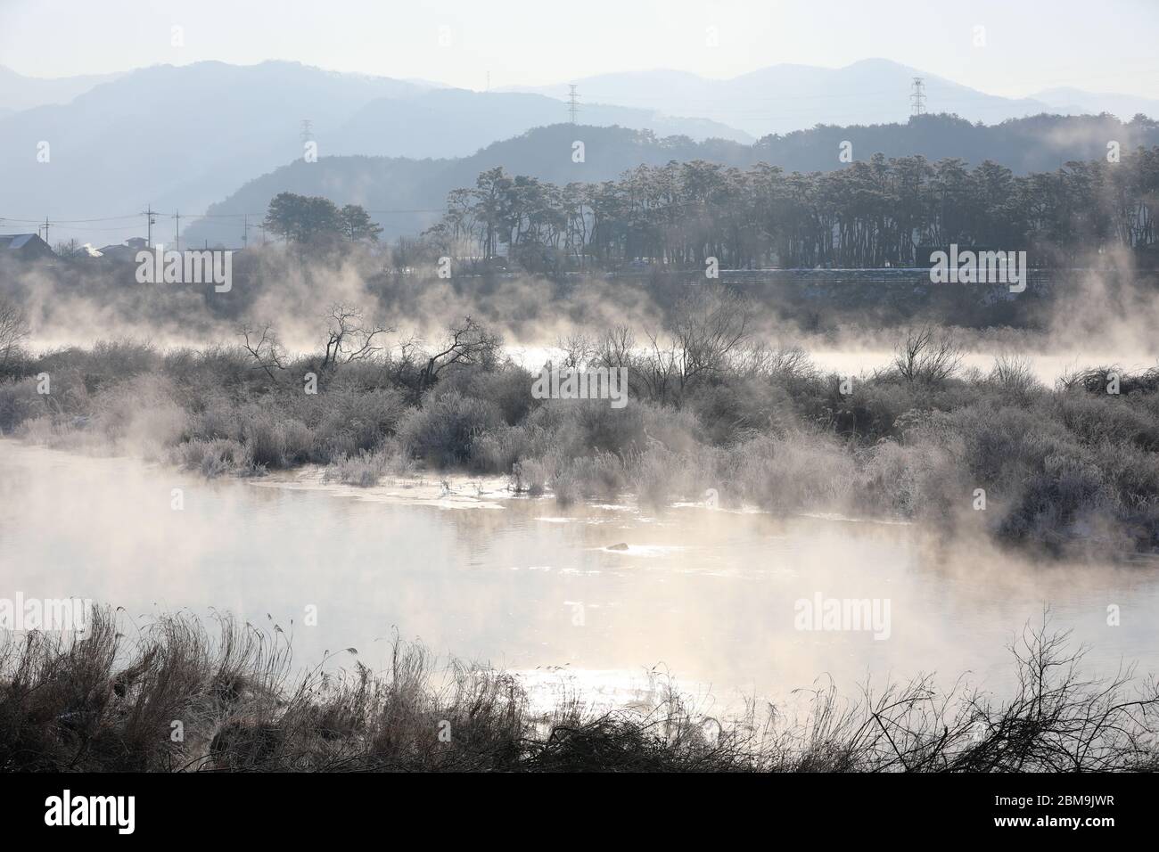 Alberi e canne sono ricoperti di neve, e il fiume ha nebbia d'acqua. Fiume Soyang, Chuncheon City, Corea Foto Stock