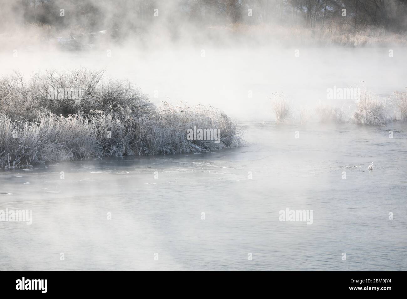 Alberi e canne sono ricoperti di neve, e il fiume ha nebbia d'acqua. Fiume Soyang, Chuncheon City, Corea Foto Stock