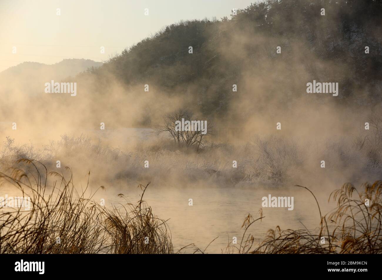 Acqua nebbiosa inverno mattina paesaggio del fiume. Fiume Sohang, Chuncheon City, Corea Foto Stock