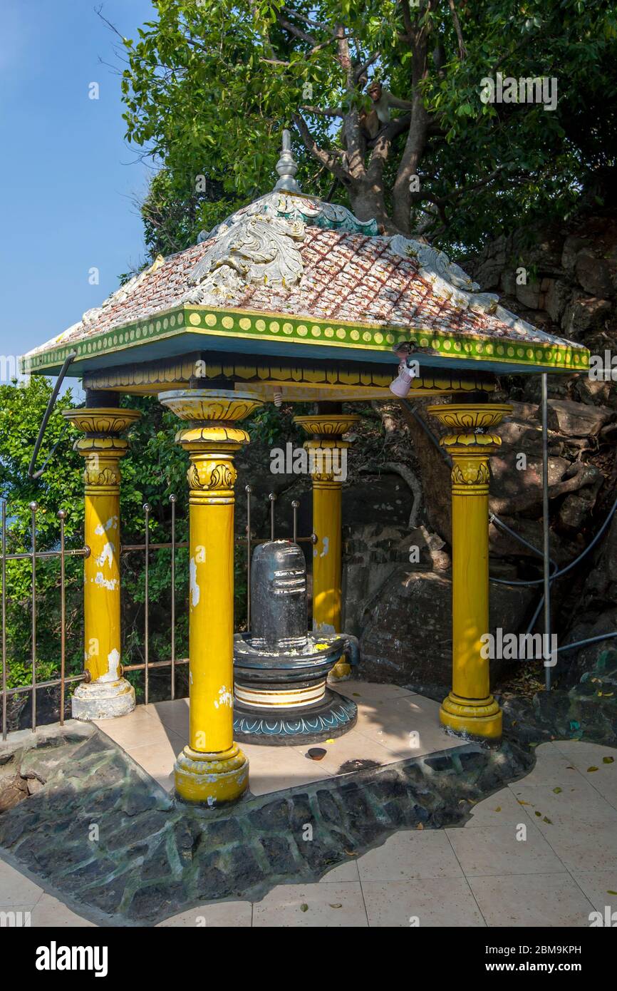 Lo Swayambhu Lingam (simbolo fallico) presso l'indù Koneswaram Kovil a Trincomalee in Sri Lanka. Fu riscoperta nel 1962 in mare. Foto Stock