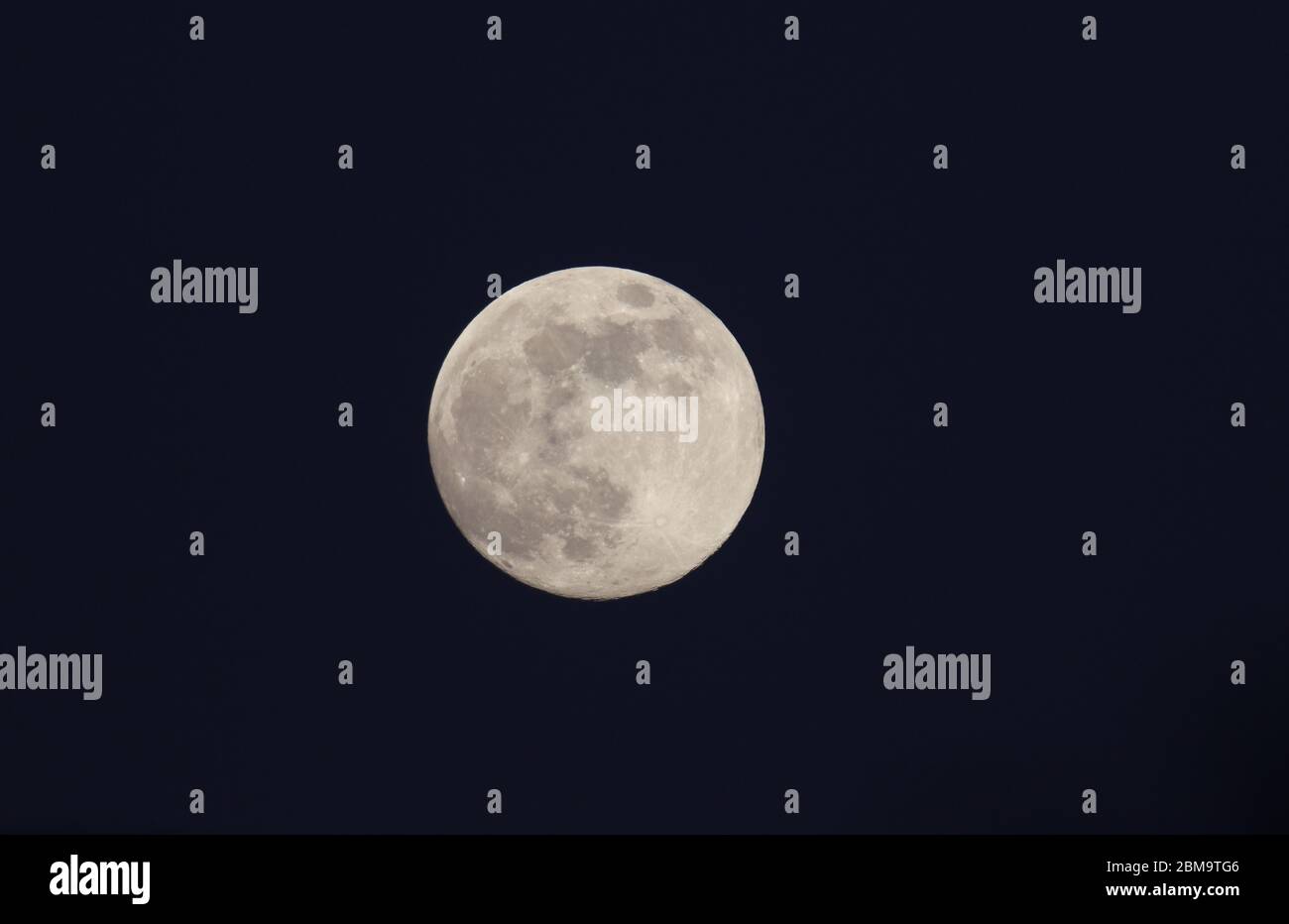 La magnifica Luna dei Fiori del Maggio 2020 visto da Hertford, Regno Unito. Foto Stock