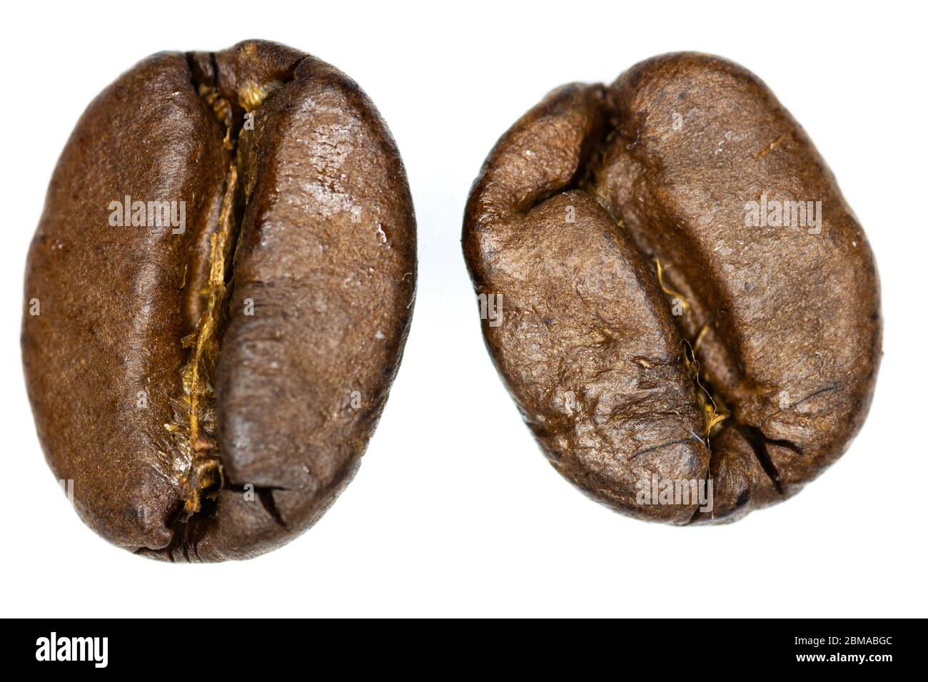 due chicchi di caffè singoli su sfondo chiaro Foto Stock