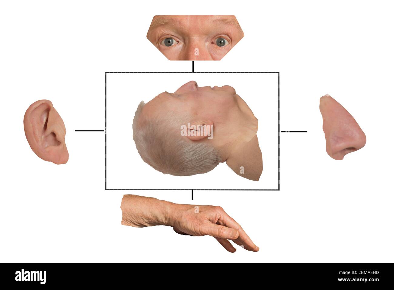 Vista laterale isolata testa umana in scatola trafilata con orecchio naso occhi e mano fuori scatola su sfondo bianco. Concetti bloccati nella sindrome, comatoso. Foto Stock