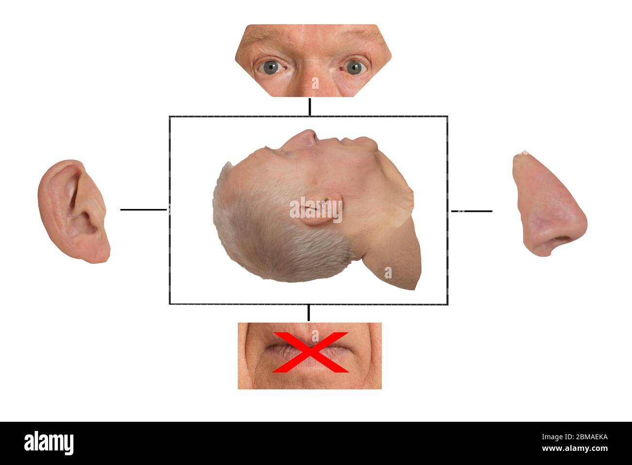 Vista laterale isolata testa umana in scatola trafilata con orecchio naso occhi bocca esterna scatola su sfondo bianco. Concetti bloccati nella sindrome, comatoso. Foto Stock