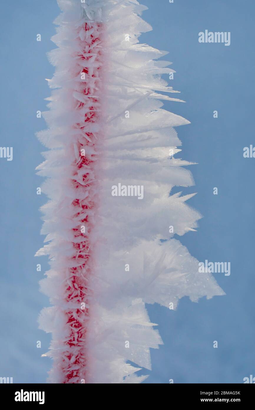 Cristalli di neve su palo rosso, Norvegia, Trom Foto Stock