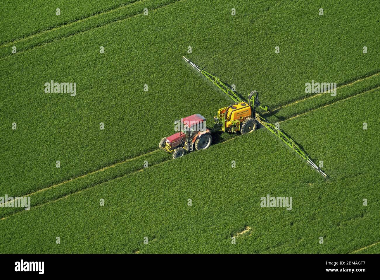 , uso di erbicida su un campo di mais in primavera, 11.05.2017, vista aerea, Germania, Renania settentrionale-Vestfalia, Anroechte Foto Stock