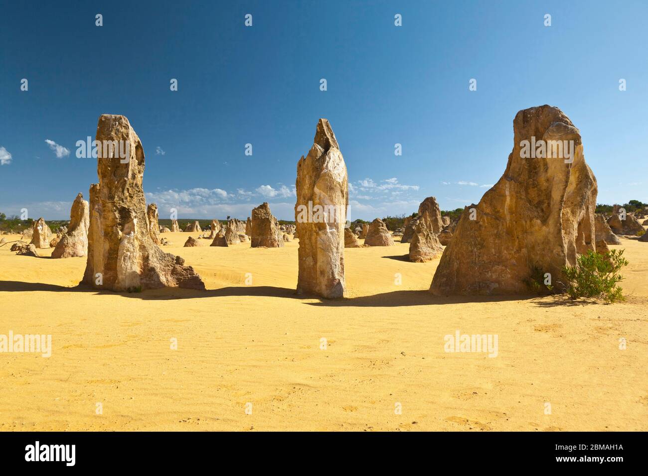Deserto Pinnacles in Outback, Australia, Nambung Nationalpark Foto Stock