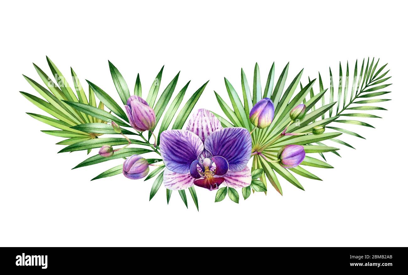 Acquerello Orchidea arco. Grandi fiori viola, rami, foglie di palma. Sfondo tropicale floreale dipinto a mano. Illustrazioni botaniche isolate su bianco Foto Stock