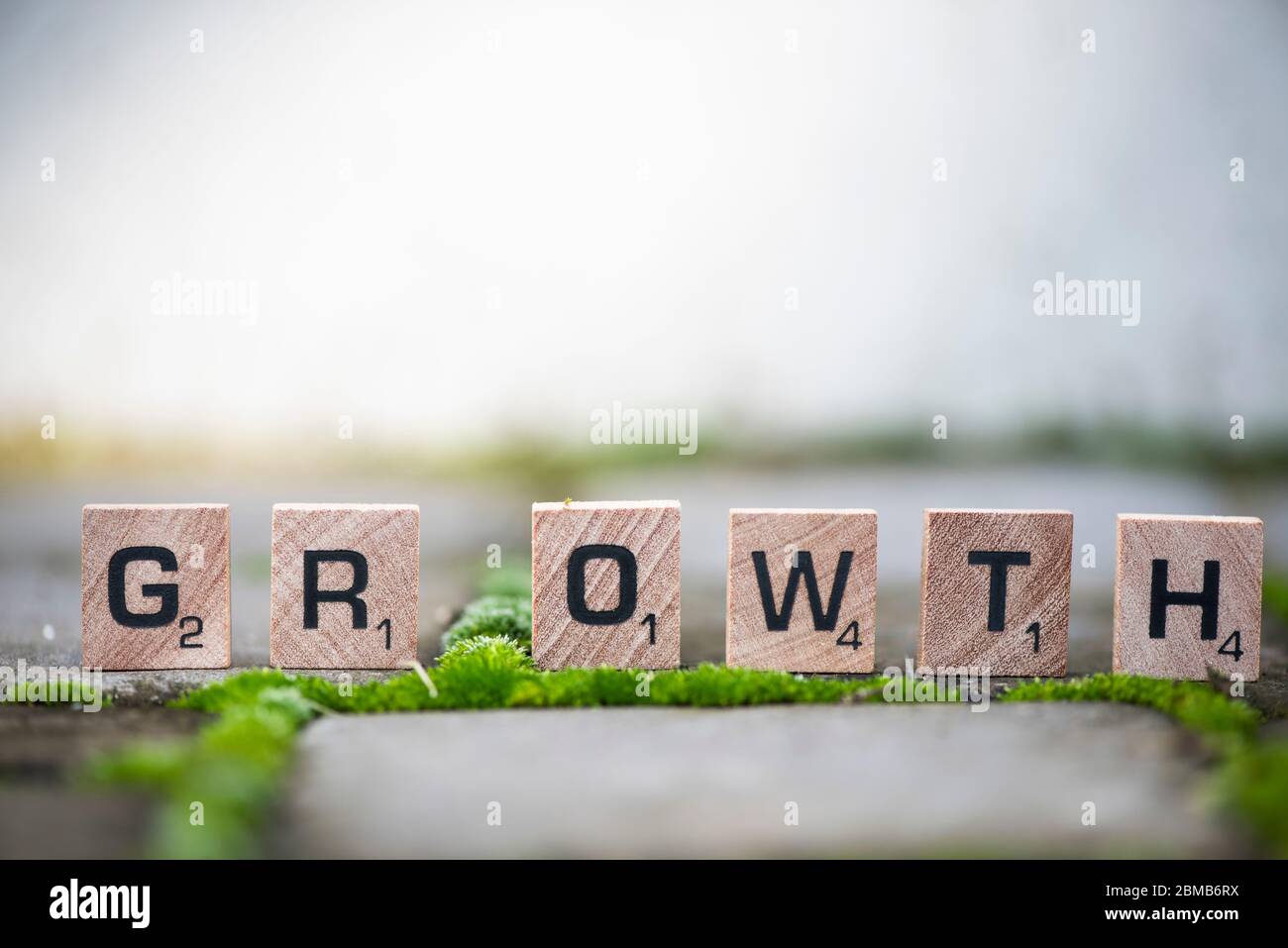 Parola di crescita in lettere a blocchi in piedi Foto Stock