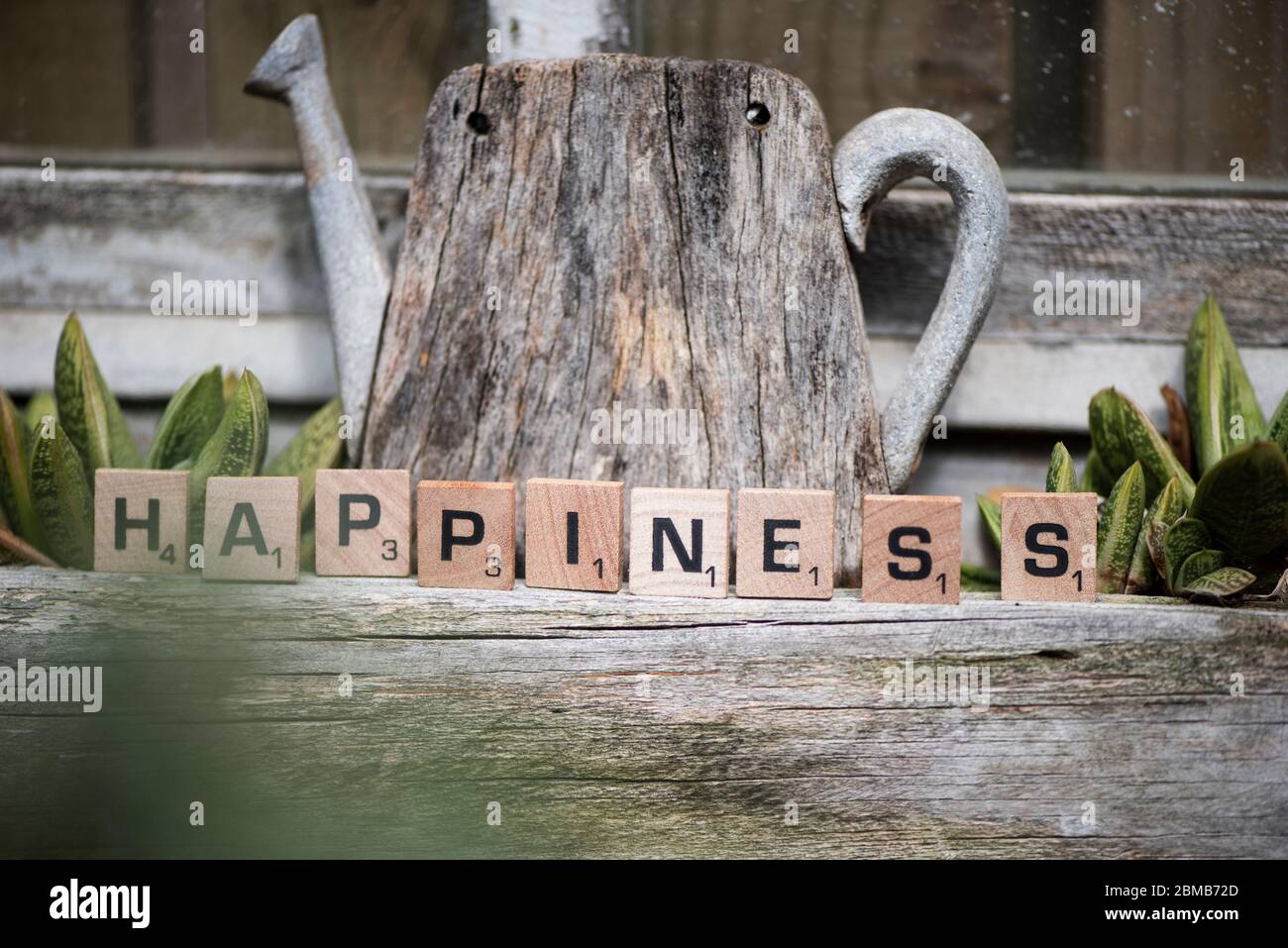 Felicità in lettere a blocchi Foto Stock