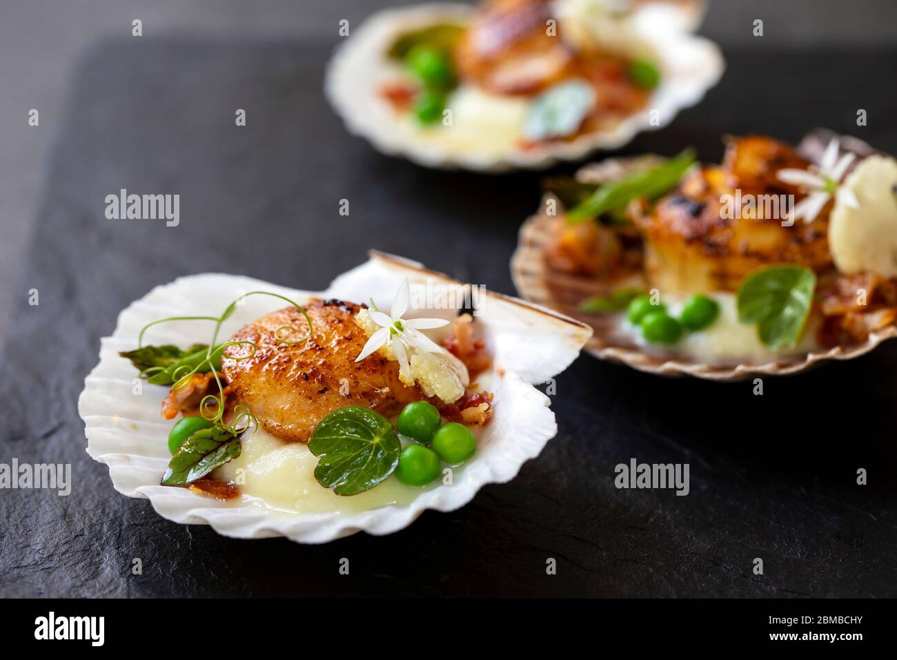Capesante con purea di cavolfiori, pancetta, piselli verdi e erbe micro Foto Stock