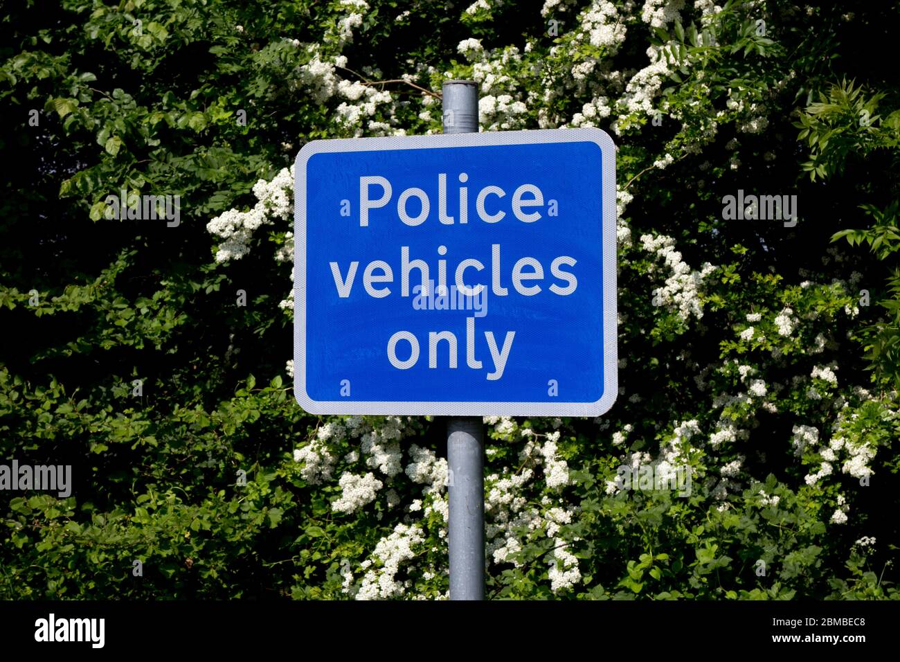 Segnale solo veicoli della polizia, Regno Unito Foto Stock