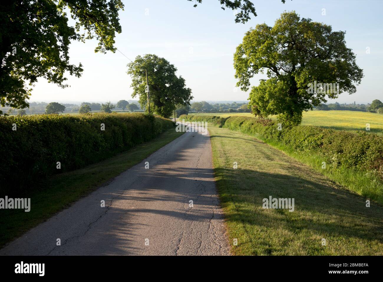 Una strada di campagna in primavera, Warwickshire, Inghilterra, Regno Unito Foto Stock