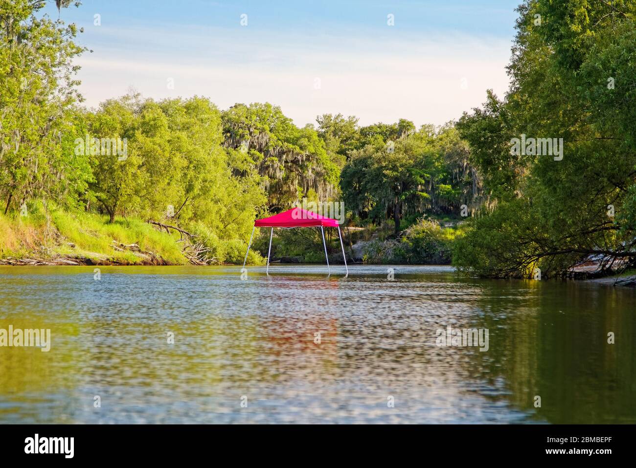 Tettoia rossa; centro del fiume; vista strana, alberi, acqua, scena; Peace River; Florida, USA; Arcadia; FL; primavera Foto Stock