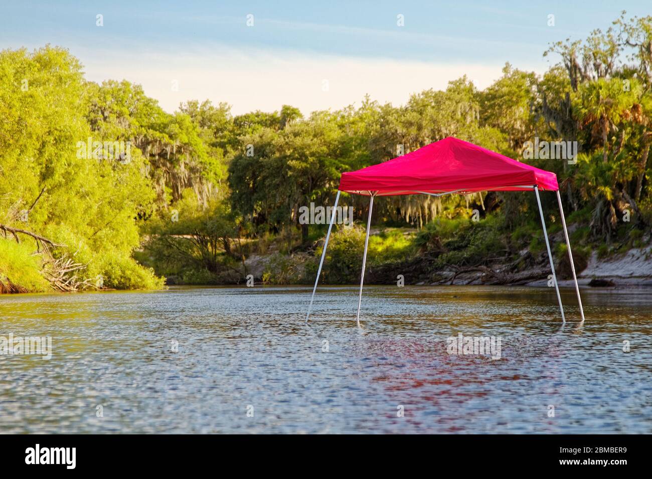 Tettoia rossa; centro del fiume; vista strana, alberi, acqua, scena; Peace River; Florida, USA; Arcadia; FL; primavera Foto Stock