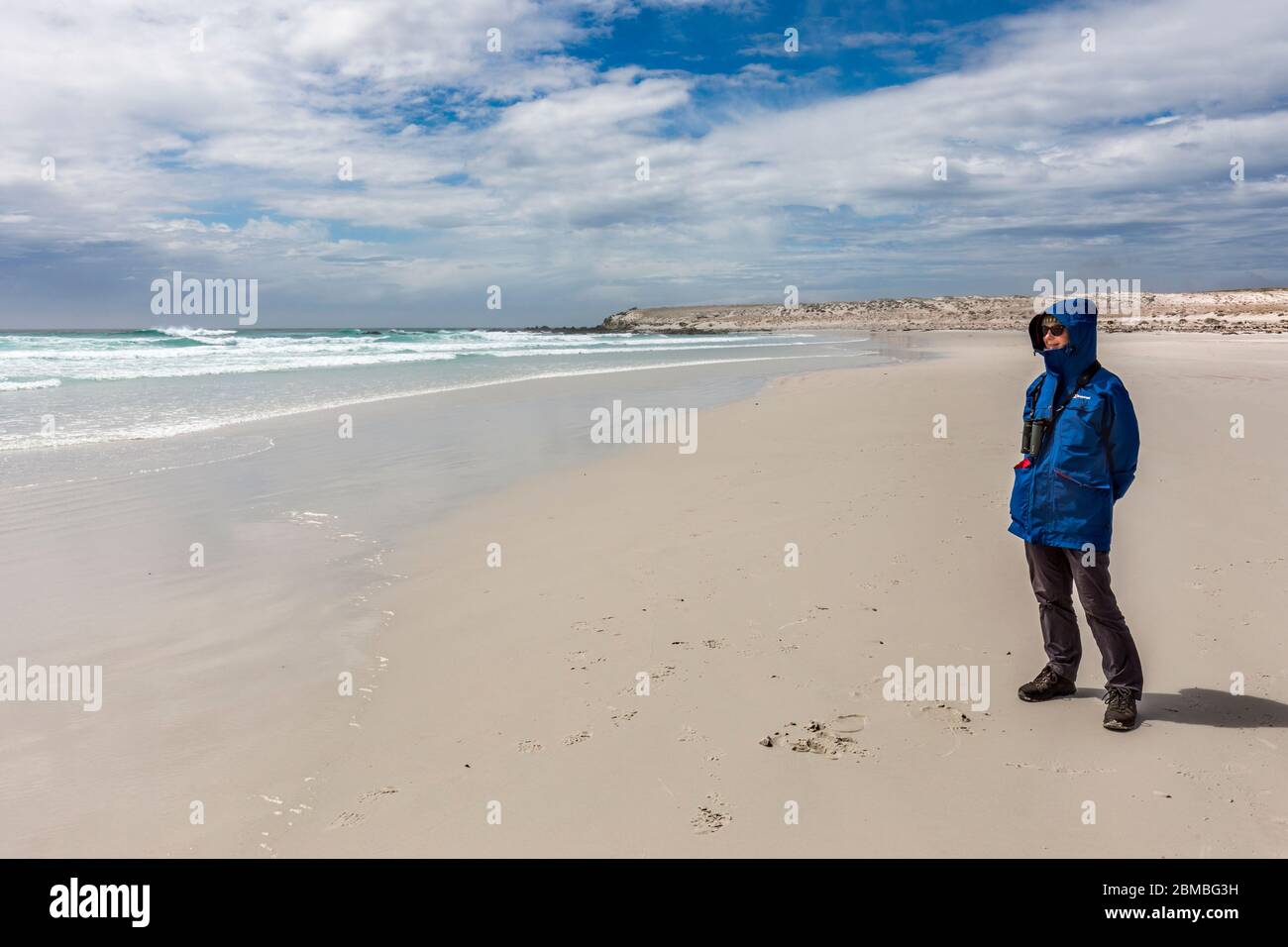 Punto volontario; Spiaggia; Donna; Falklands Foto Stock