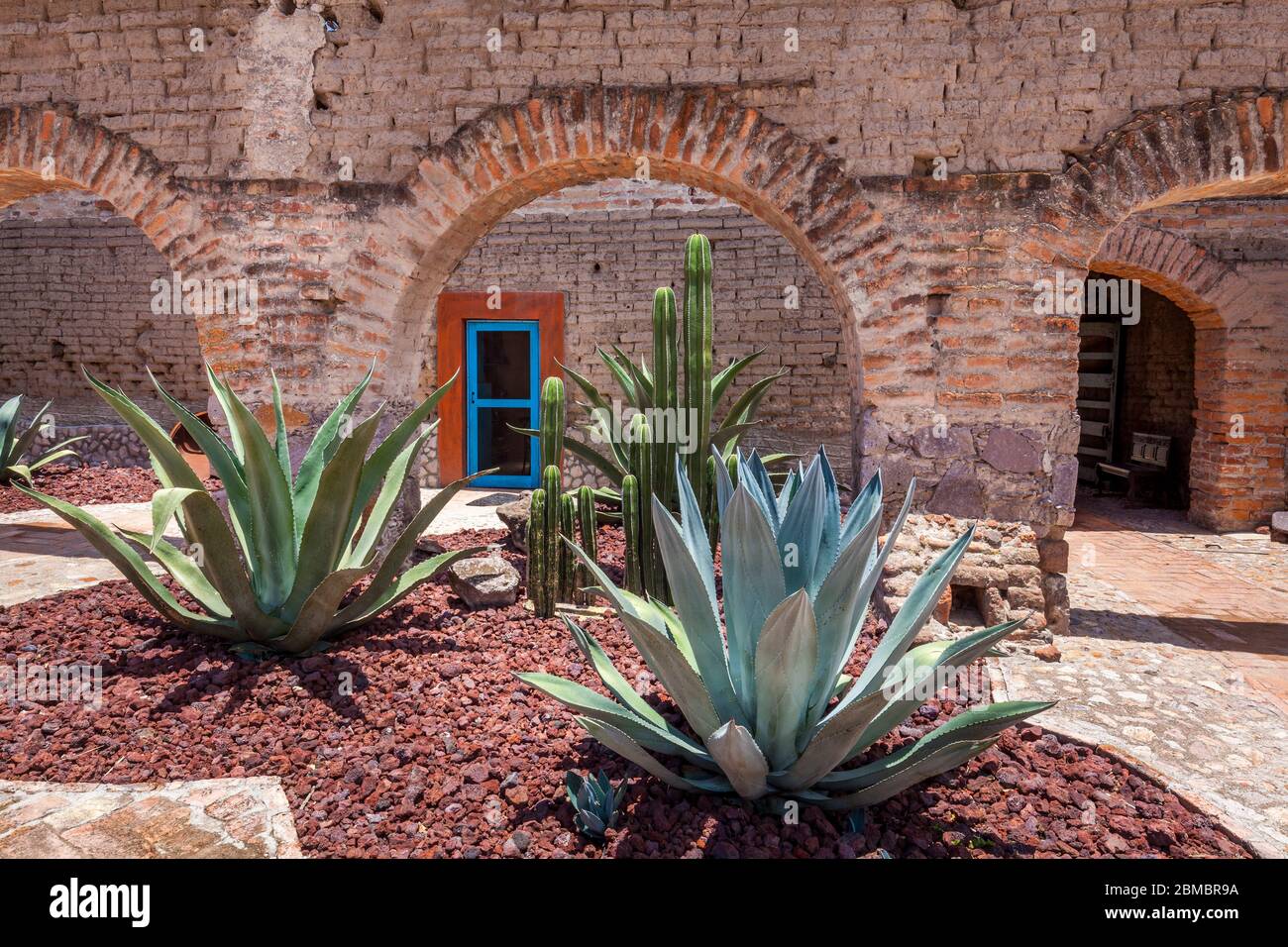 Giardino Cactus presso la storica Hacienda Sepulveda a Lagos de Moreno, Jalisco, Messico. Foto Stock